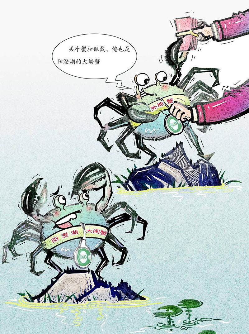 阳澄湖大闸蟹销售旺季，“李鬼”来袭，监管打假刻不容缓