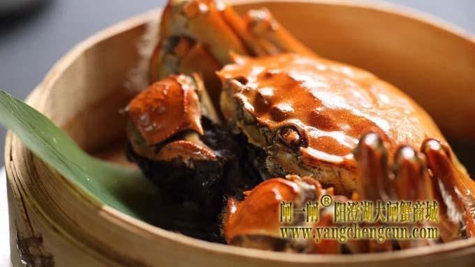 阳澄湖大闸蟹