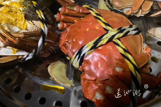 阳澄湖大闸蟹