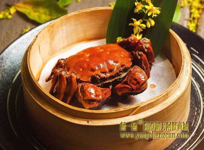阳澄湖大闸蟹