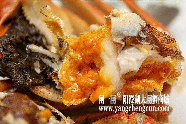 蟹黄,蟹肉