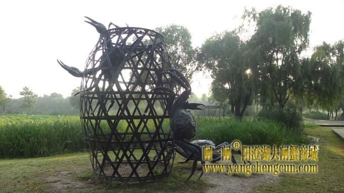 好大的阳澄湖大闸蟹