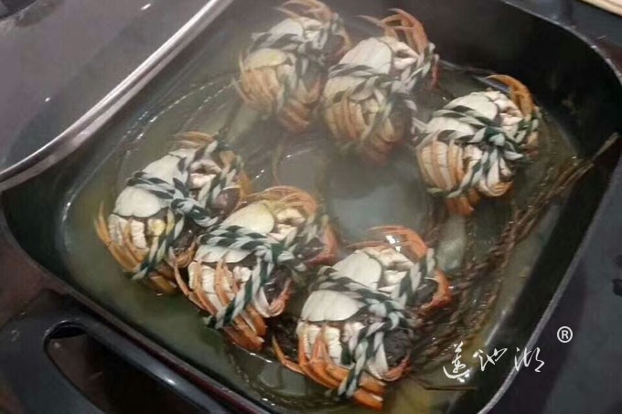 阳澄湖大闸蟹