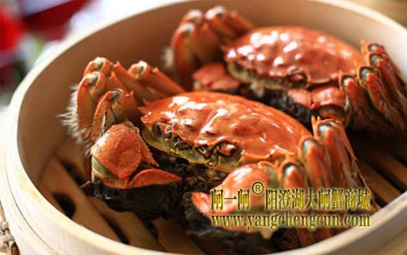 阳澄湖大闸蟹
