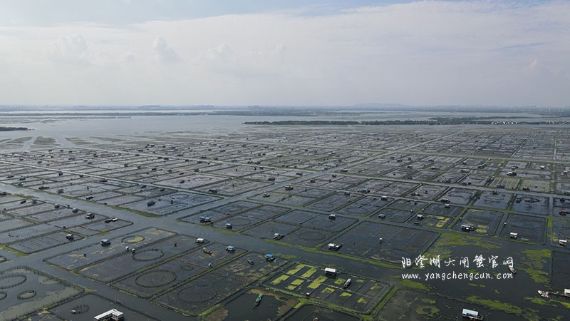 阳澄湖大闸蟹养殖基地航拍