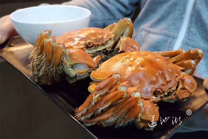 阳澄湖大闸蟹