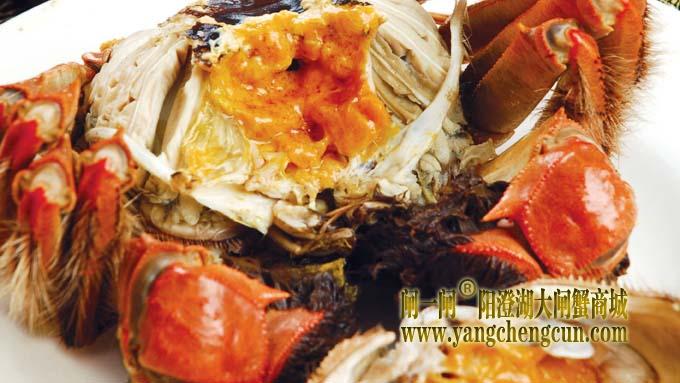 阳澄湖大闸蟹