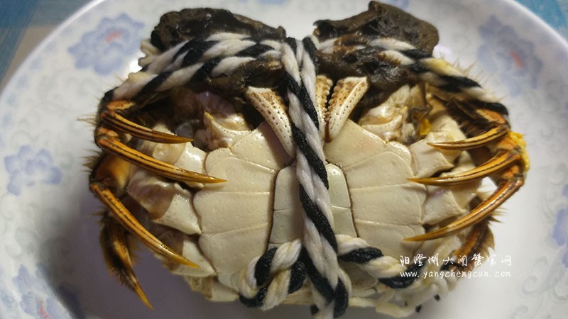 阳澄湖大闸蟹