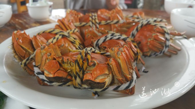 阳澄湖大闸蟹