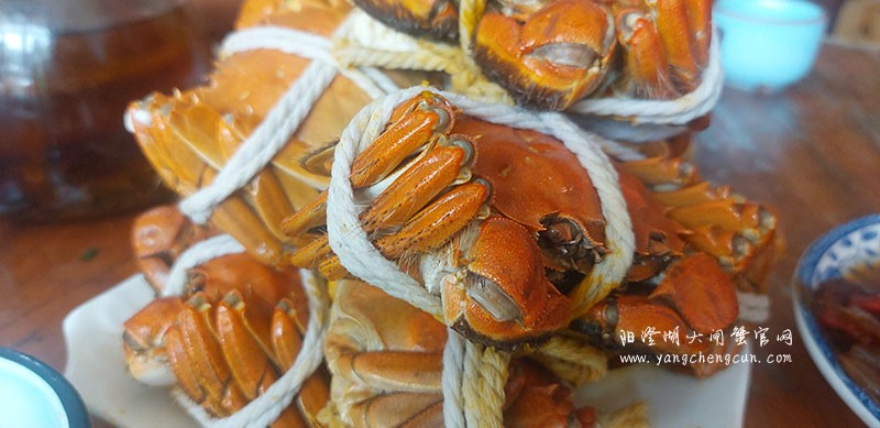 阳澄湖大闸蟹