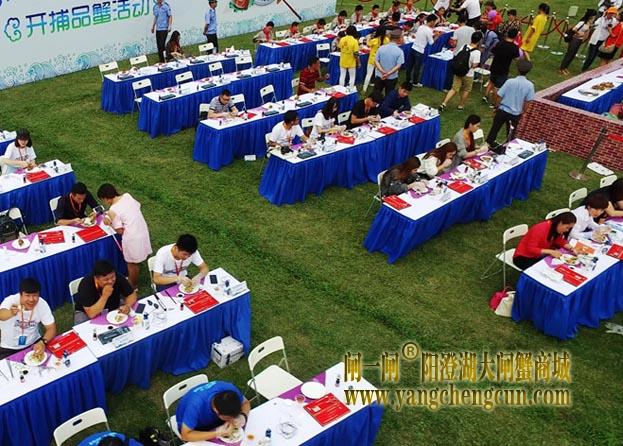 阳澄湖大闸蟹开捕节