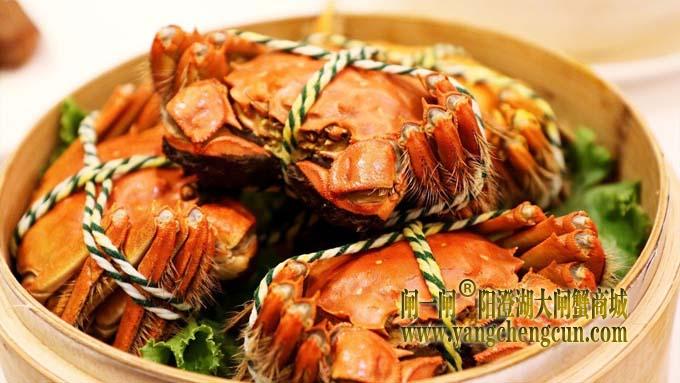 陽澄湖大閘蟹