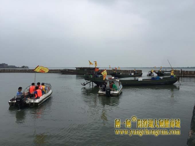 阳澄湖六月黄大闸蟹文化节