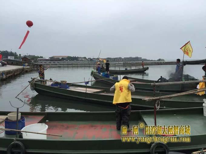 阳澄湖六月黄大闸蟹文化节