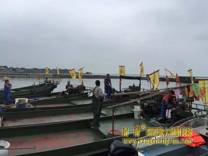 阳澄湖六月黄大闸蟹文化节