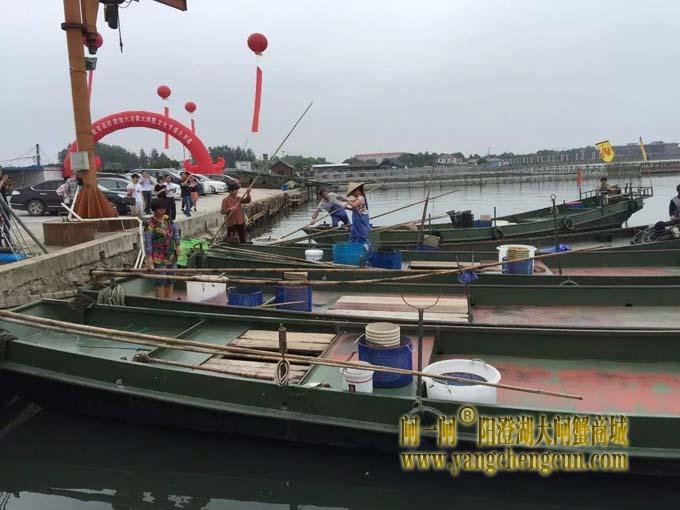 阳澄湖六月黄大闸蟹文化节