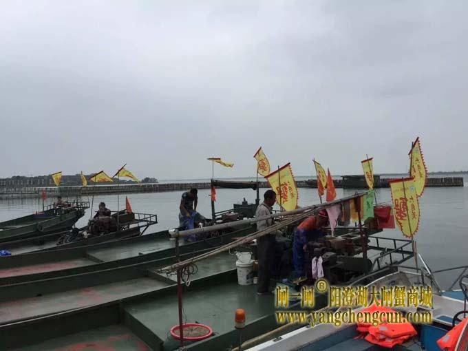 阳澄湖六月黄大闸蟹文化节