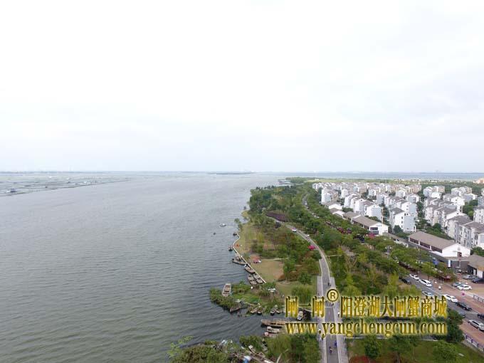 航拍阳澄湖半岛