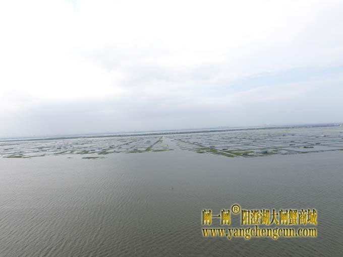 航拍阳澄湖