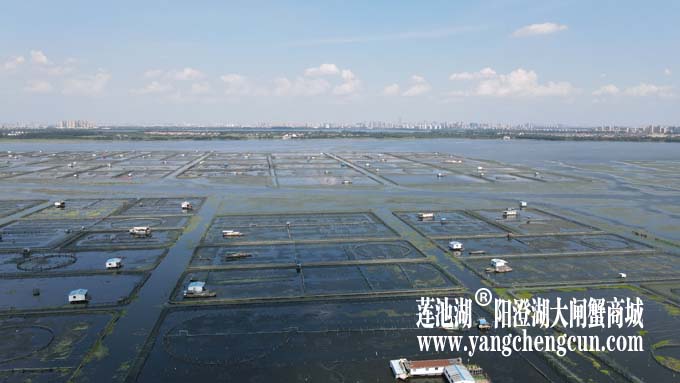 阳澄湖——上帝的视角