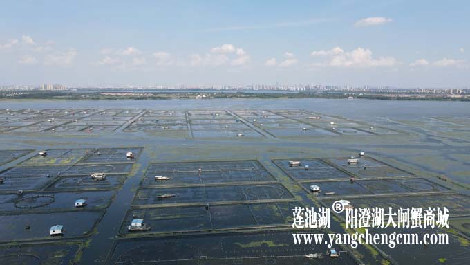 阳澄湖——上帝的视角