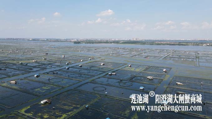 阳澄湖——上帝的视角