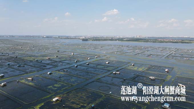 阳澄湖——上帝的视角