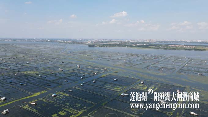 阳澄湖——上帝的视角