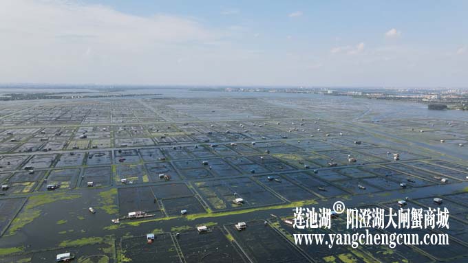 阳澄湖——上帝的视角