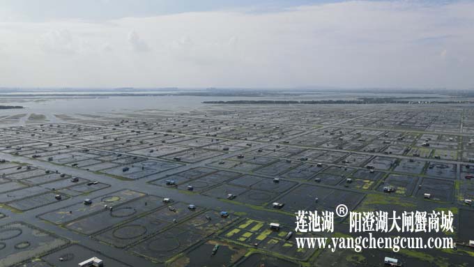 阳澄湖——上帝的视角