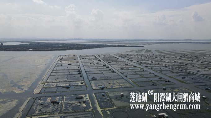 阳澄湖——上帝的视角
