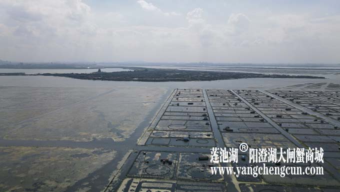 阳澄湖——上帝的视角