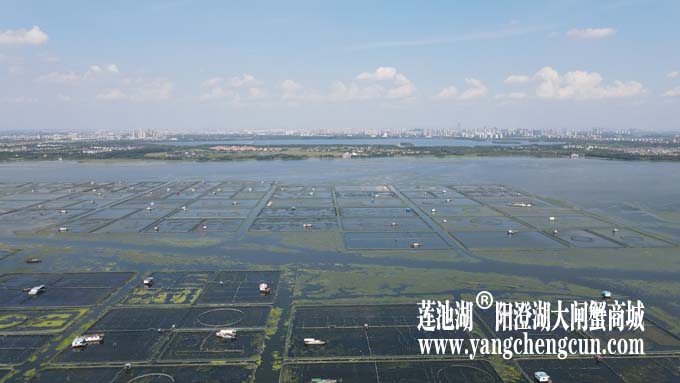 阳澄湖——上帝的视角