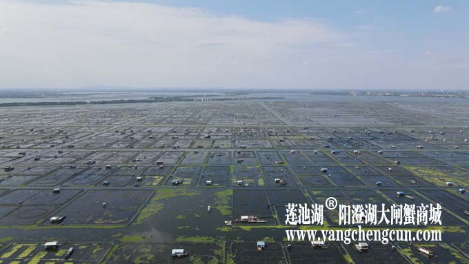 阳澄湖——上帝的视角