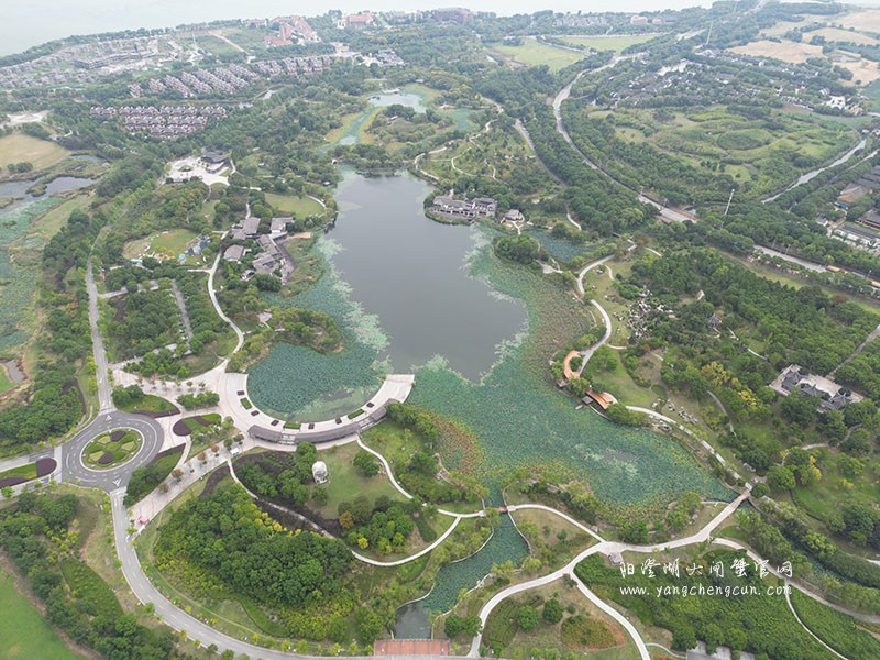 美丽的湖中之湖——莲池湖