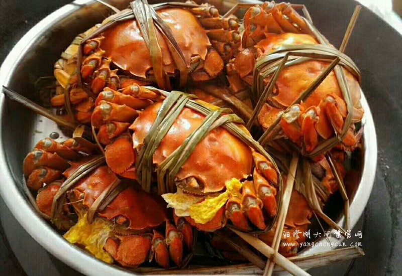 阳澄湖大闸蟹