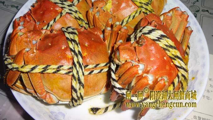 阳澄湖大闸蟹 