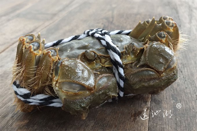 阳澄湖大闸蟹