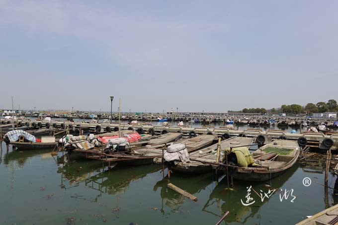 阳澄湖蟹农码头