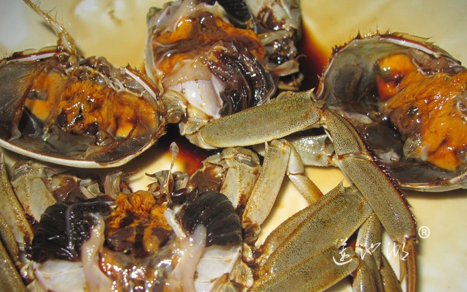 阳澄湖大闸蟹