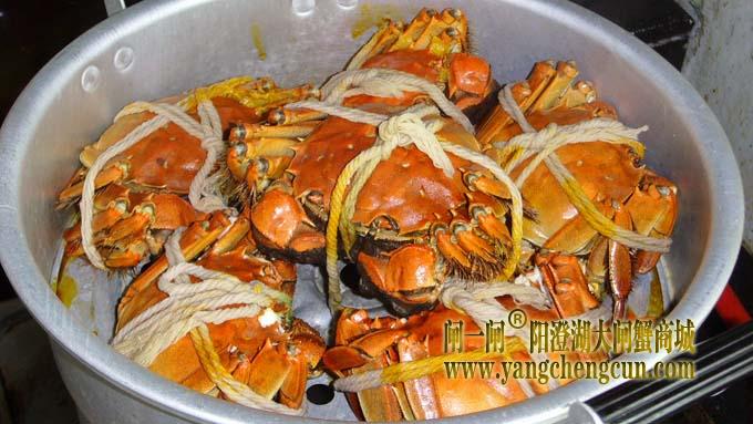 阳澄湖大闸蟹