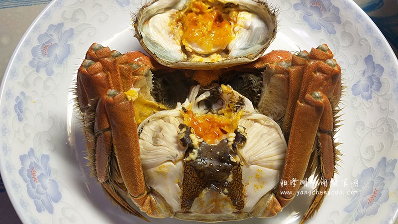 阳澄湖大闸蟹