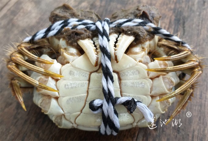 阳澄湖大闸蟹（白肚）