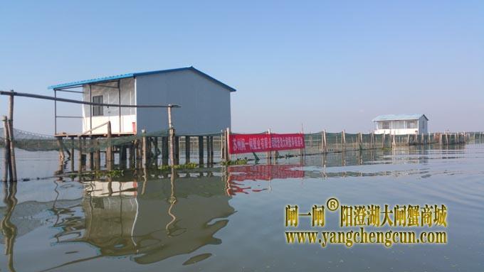 闸一闸品牌阳澄湖大闸蟹养殖基地