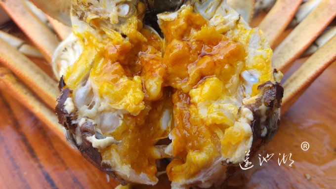 阳澄湖大闸蟹