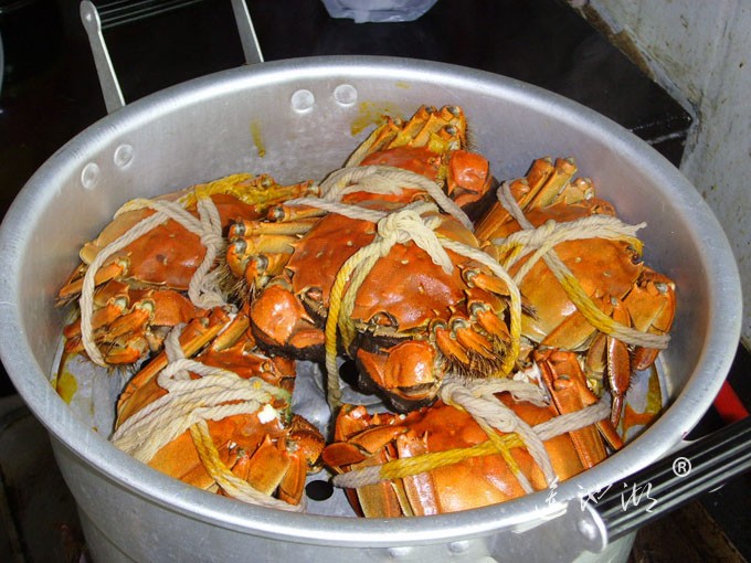 阳澄湖大闸蟹