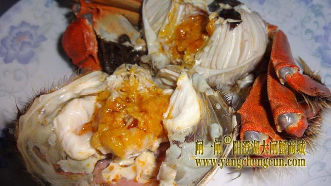 阳澄湖大闸蟹