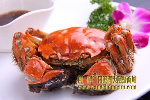 阳澄湖大闸蟹