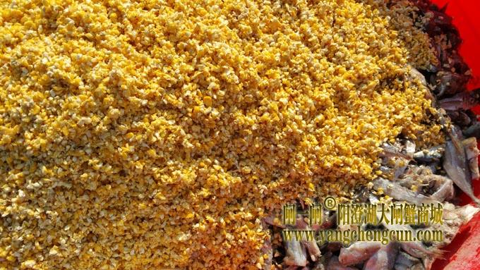 阳澄湖大闸蟹吃的饲料