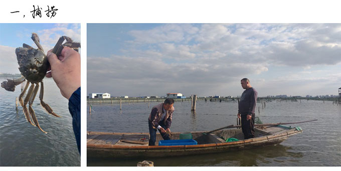 阳澄湖蟹农开发蟹黄油